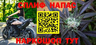 гашик Лесосибирск