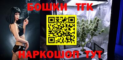 гашик Лесосибирск