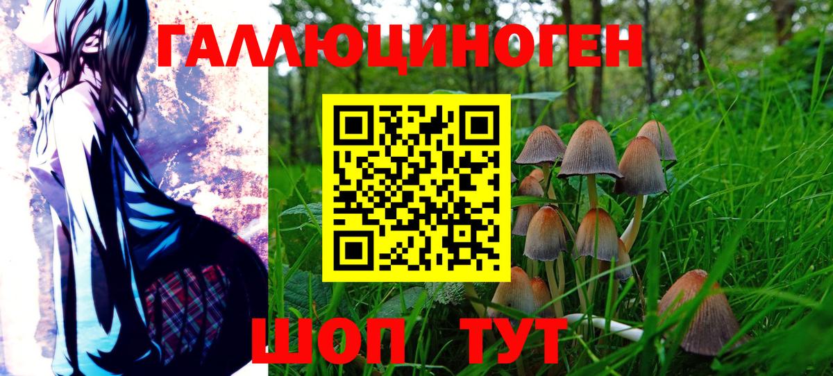Псилоцибиновые грибы GOLDEN TEACHER Зеленогорск