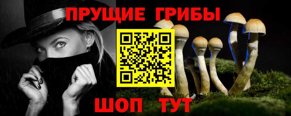 Зеленогорск  Псилоцибиновые грибы мицелий  Псилоцибиновые грибы MAGIC MUSHROOMS  Вход с VPN 